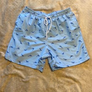 Men’s Dolphins Swimming Trunks